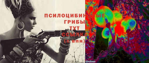 винт Алзамай