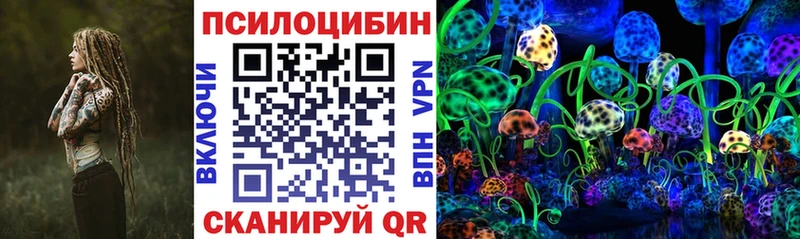 Псилоцибиновые грибы Psilocybine cubensis  Бирск 